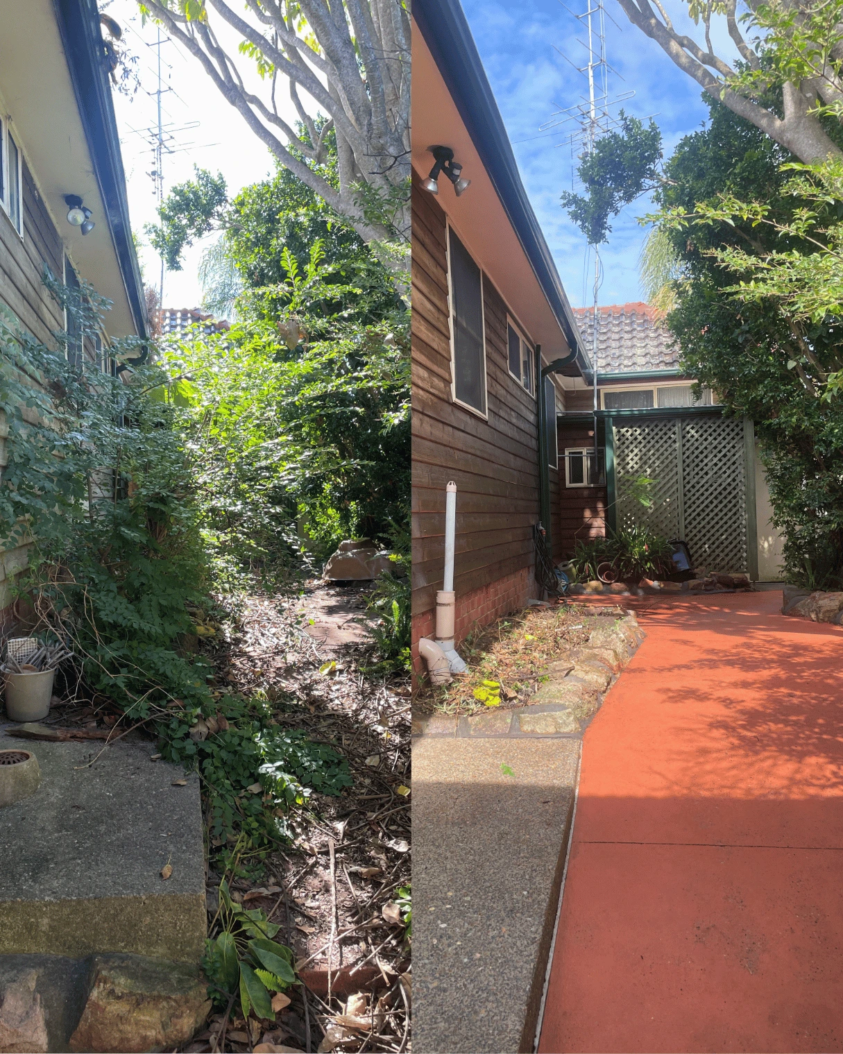 Overgrown side path cleared and pressure cleaned