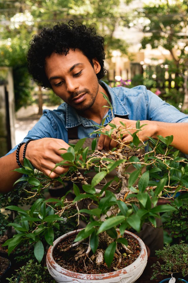 A Therapist’s Guide for Surviving Holiday Stress