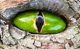 VIELFARBENHAUS – Keramikwerkstatt Martina Schlefske