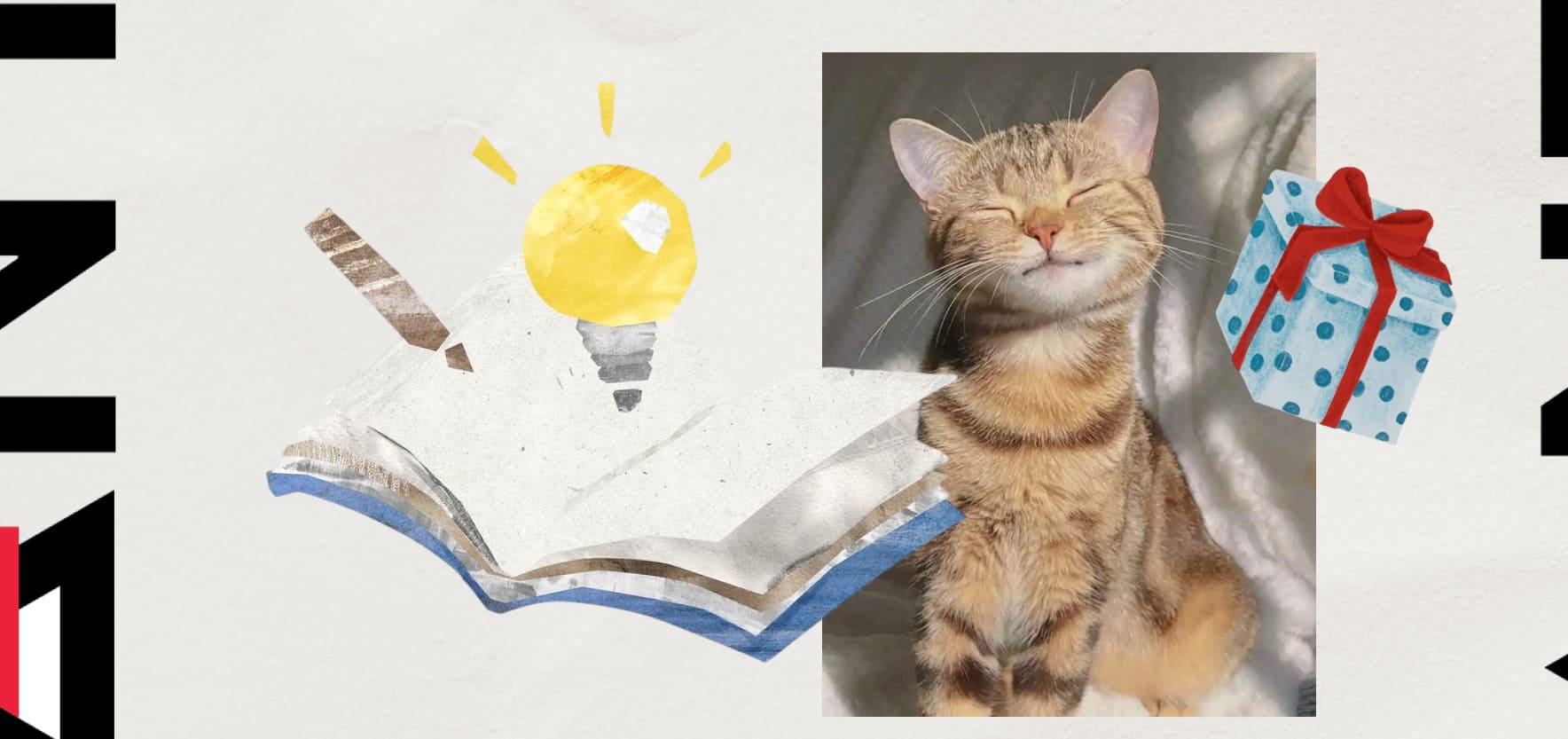 Pet-товари як подарунок: стратегічний гайд для «котобатьків»