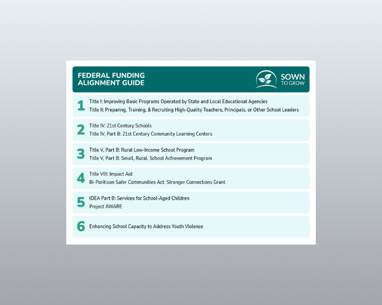 How to Fund Whole-Child Support for Schools and Districts: A Playbook for Federal Grant Success