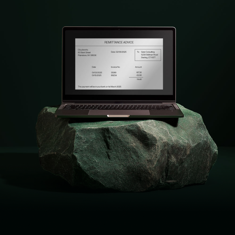A laptop sitting on a rock with a green background with a remittance advice document pulled up on the screen, 