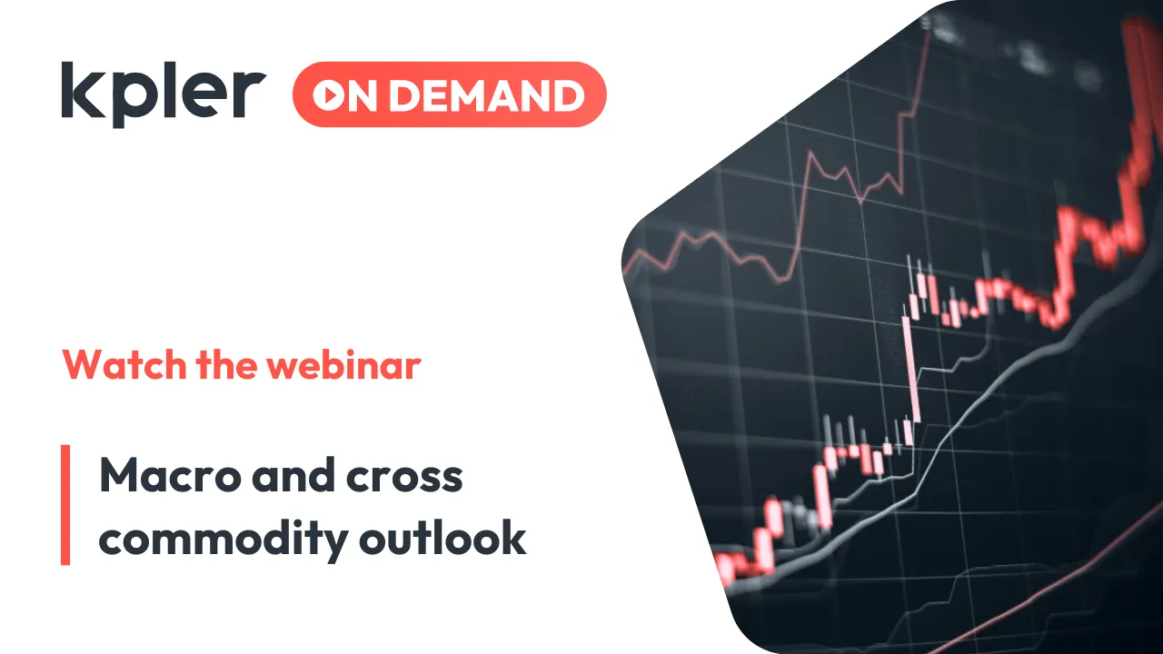 Cross-commodity 2025 market outlook Jan 2025