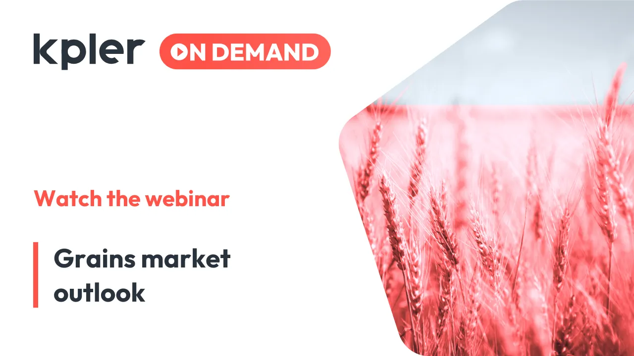 Grains S&D Market Outlook | March 2025