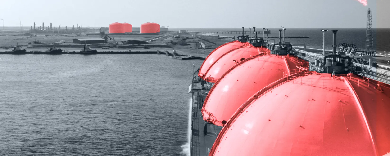 Kpler at  World Gas Conference 2025