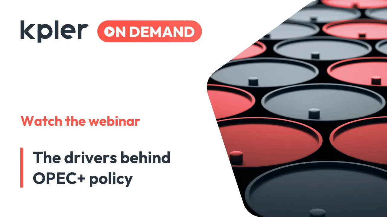 The drivers behind OPEC+ policy | May 2025