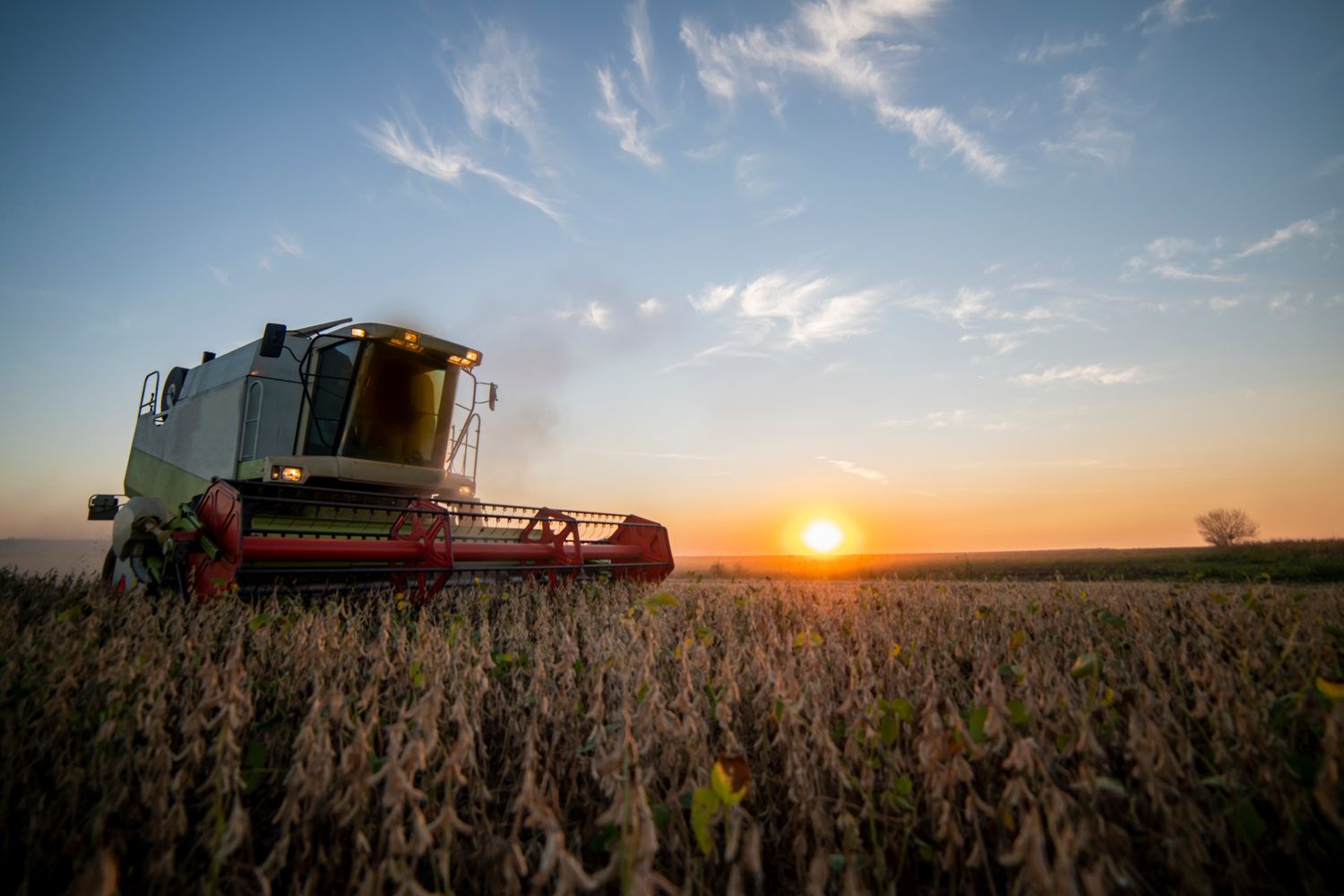 Soybean crush margins in South America squashed by record exports