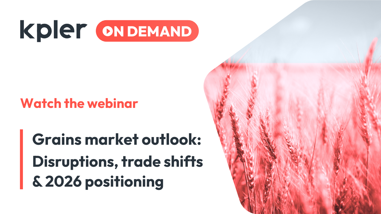 Grains market outlook: Disruptions, trade shifts & 2026 positioning | Dec 2025