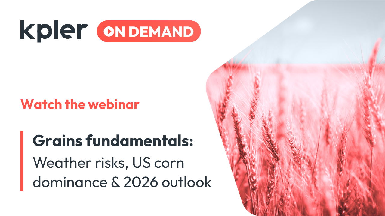 Grains fundamentals: Weather risks, US corn dominance & 2026 outlook | Jan 2026