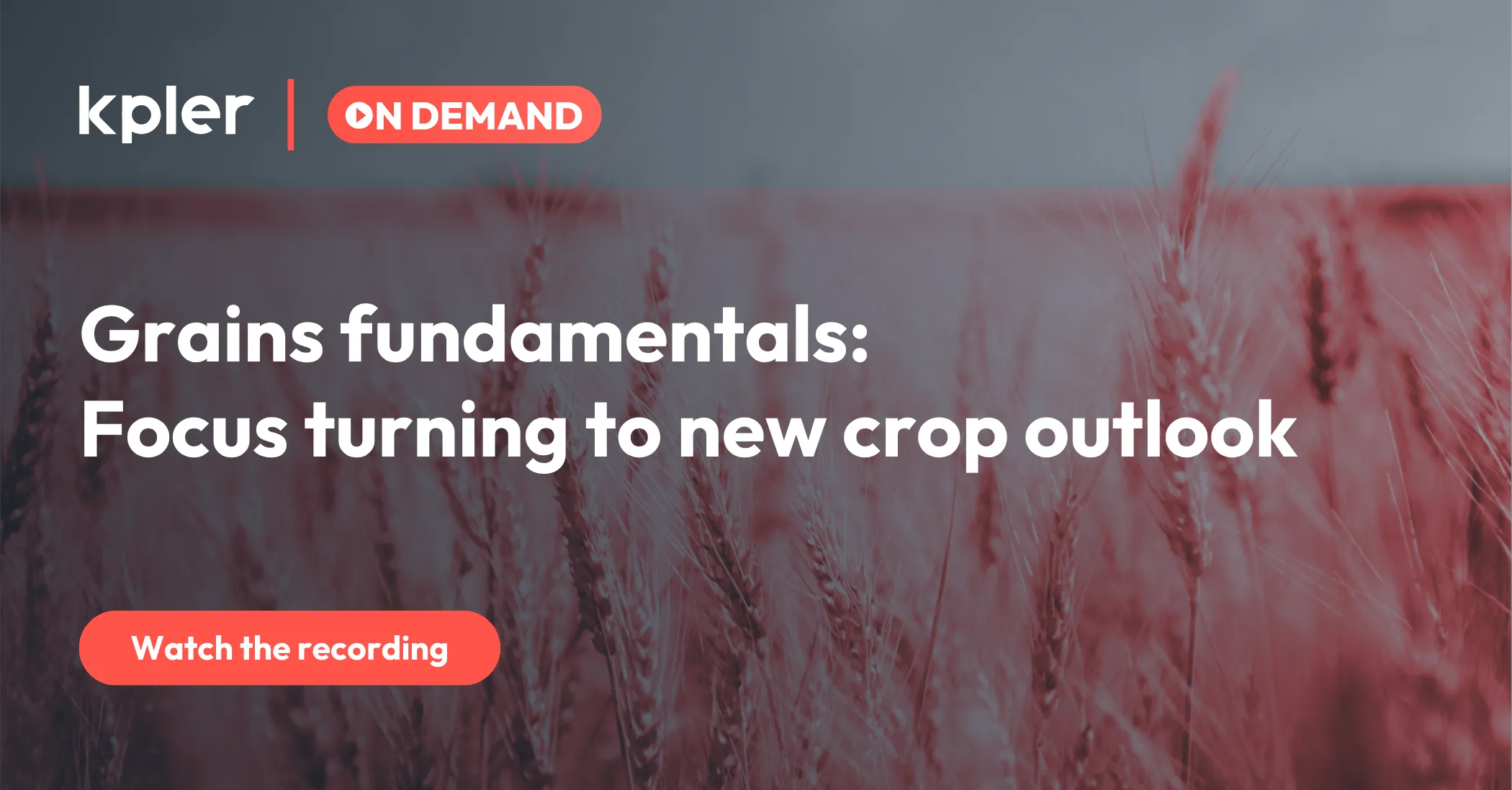 Grains fundamentals: Focus turning to new crop outlook