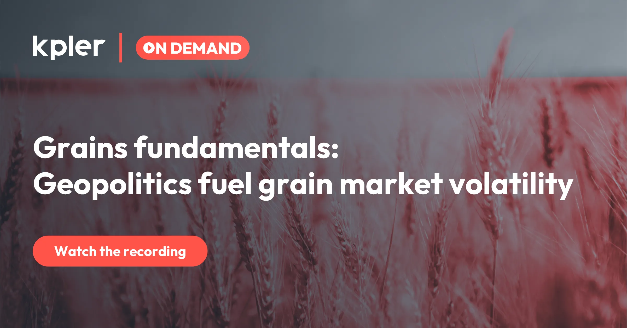 Grains fundamentals: Geopolitics fuel grain market volatility