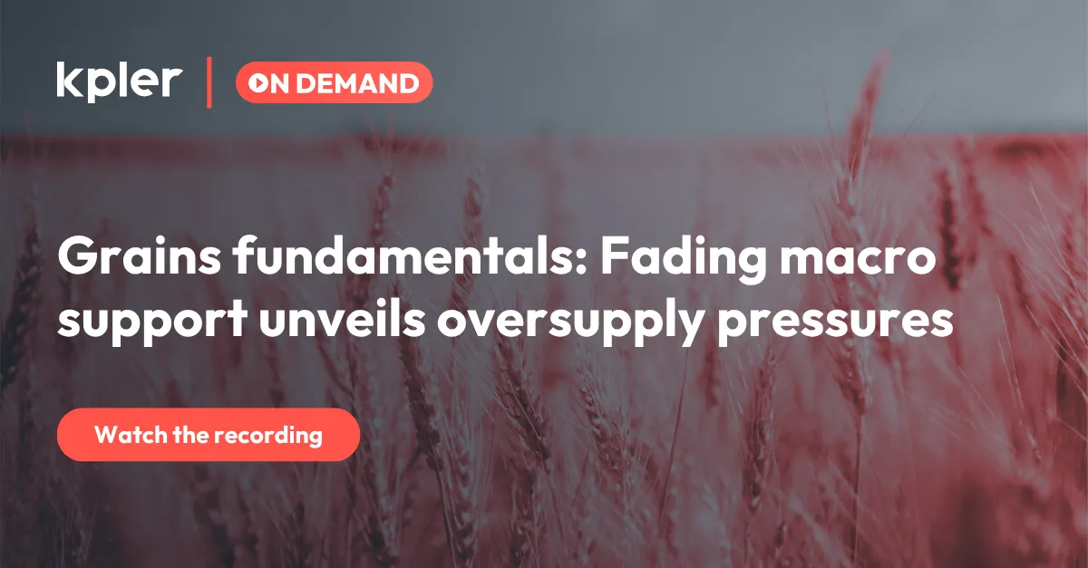 Grains fundamentals: Fading macro support unveils oversupply pressures