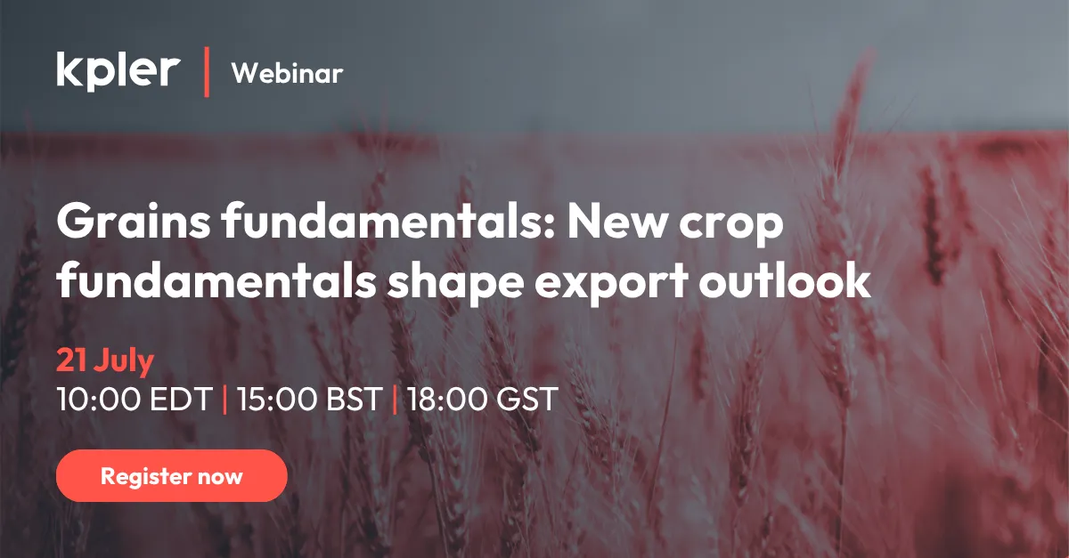 Grains fundamentals: New crop fundamentals shape export outlook