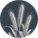 Grains