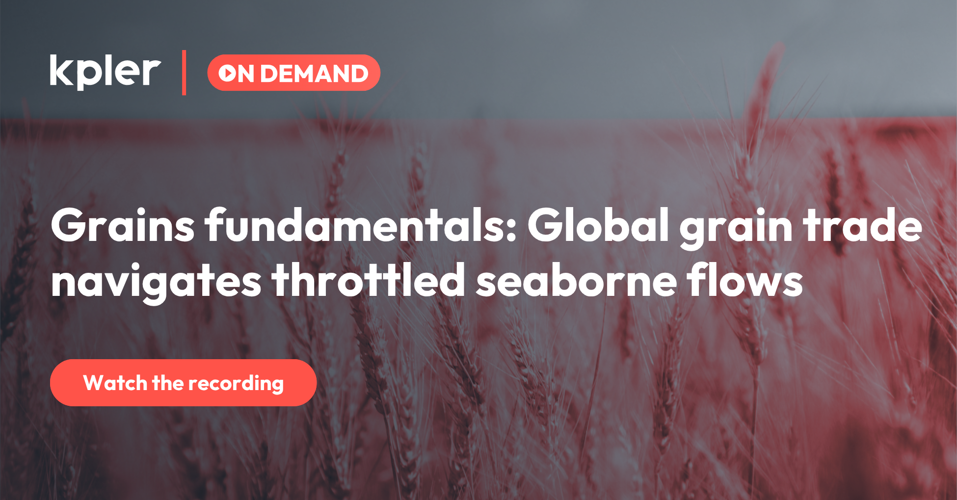 Grains fundamentals: Global grain trade navigates throttled seaborne flows