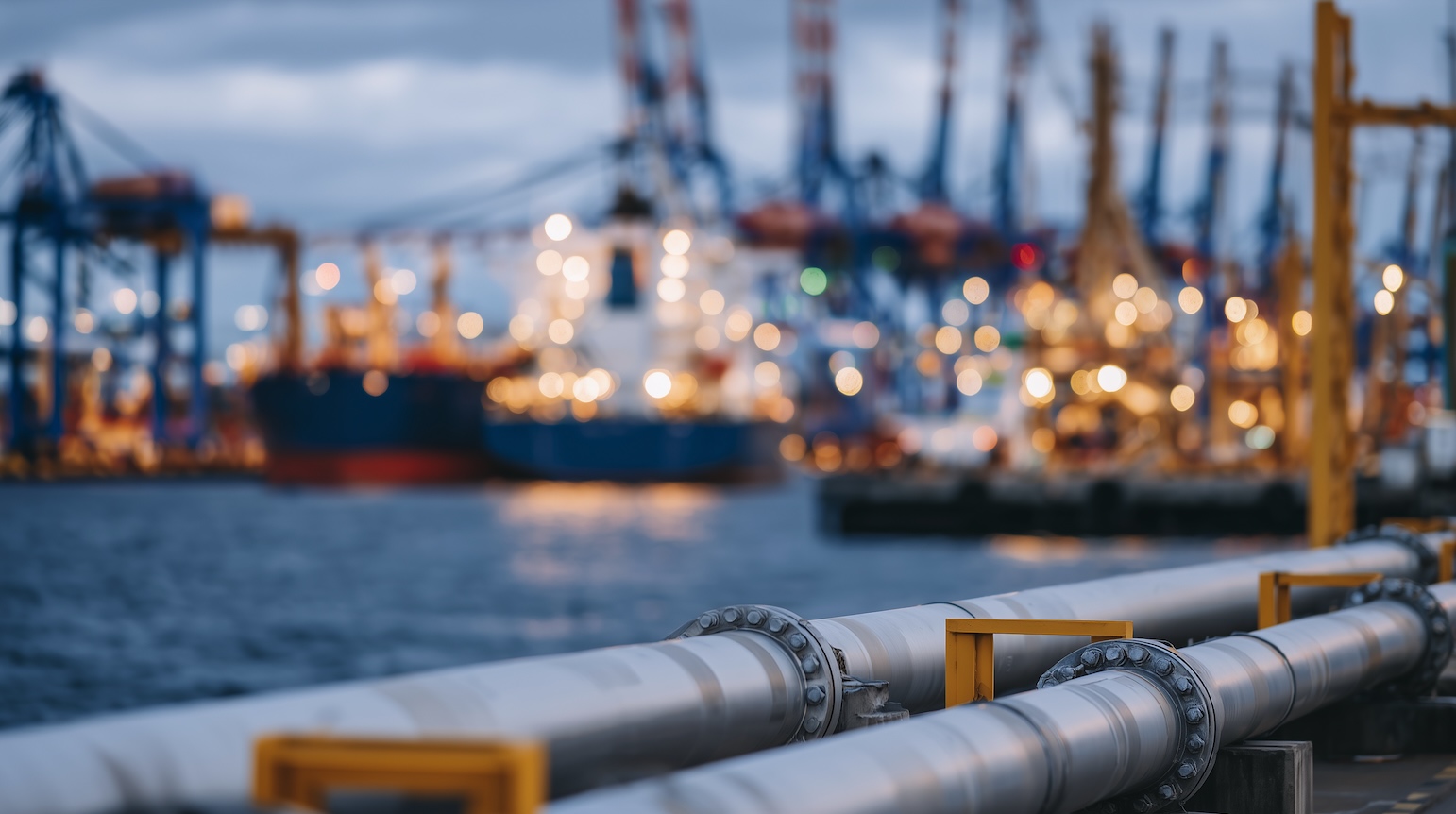 What port calls reveal about the LNG fleet