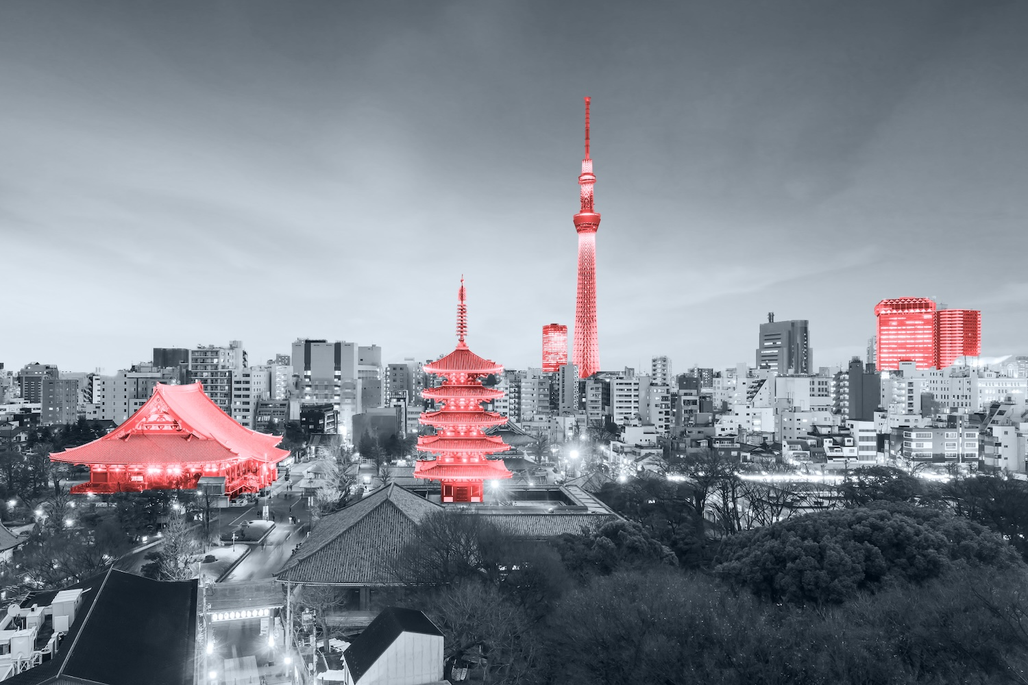 Kpler Tokyo: A New Chapter
