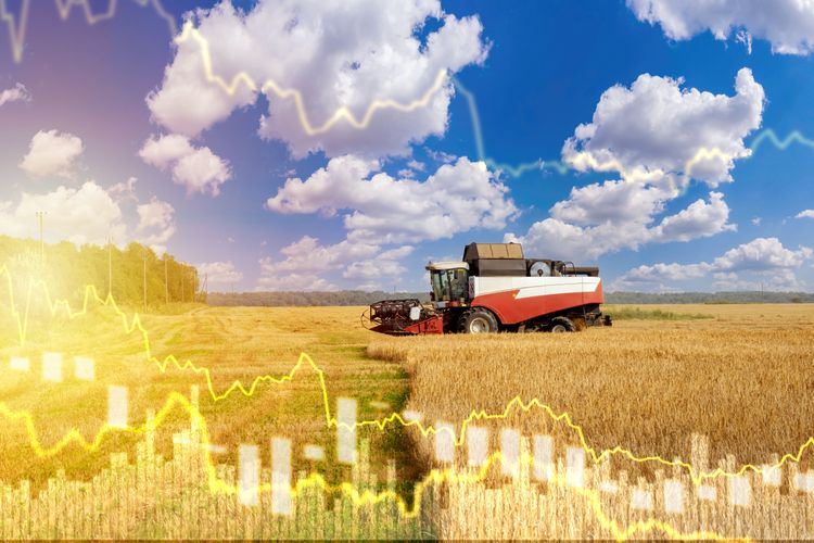The May-July soybean spread offers a measured way to trade tighter US stocks