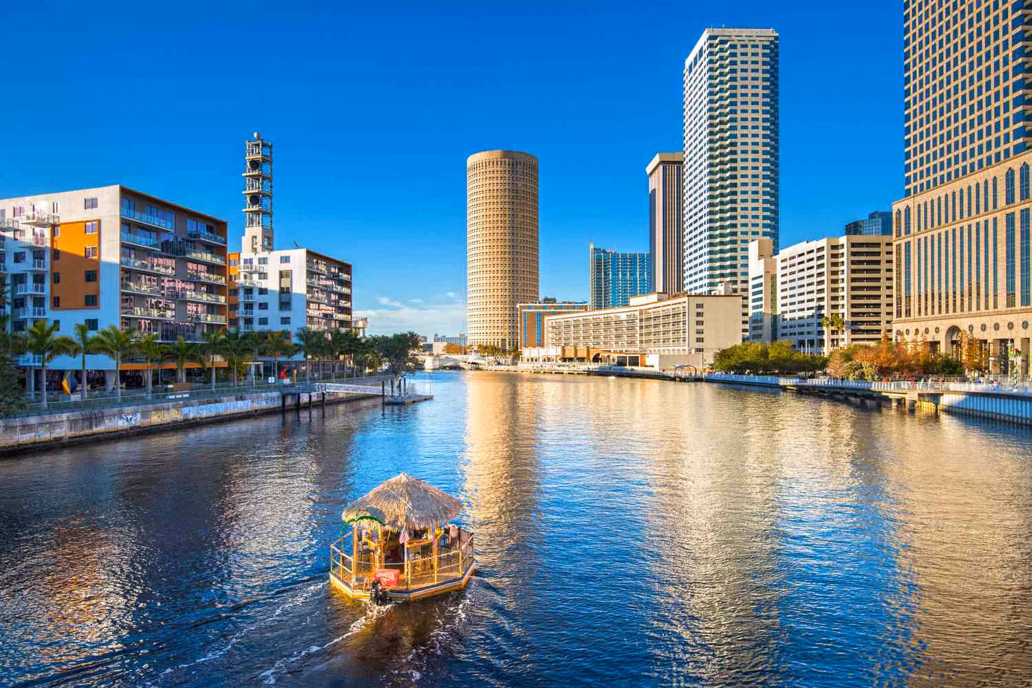 Tampa, FL: cityscape and local surroundings