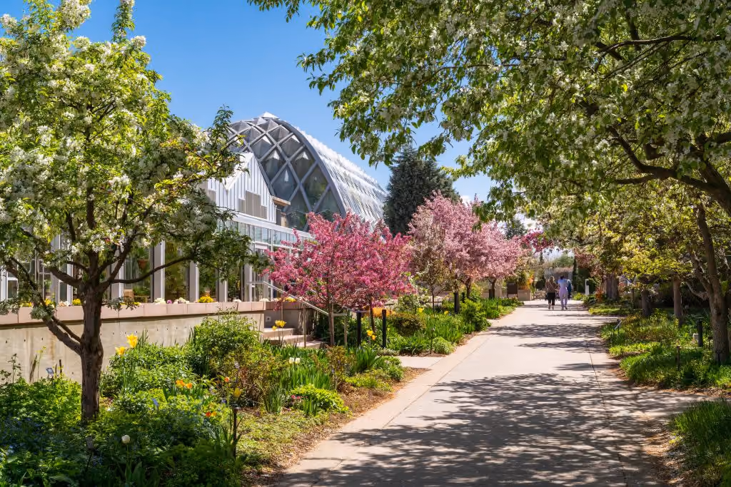 Denver Botanic Gardens in Denver: Denver Botanic Gardens Spring Walkway