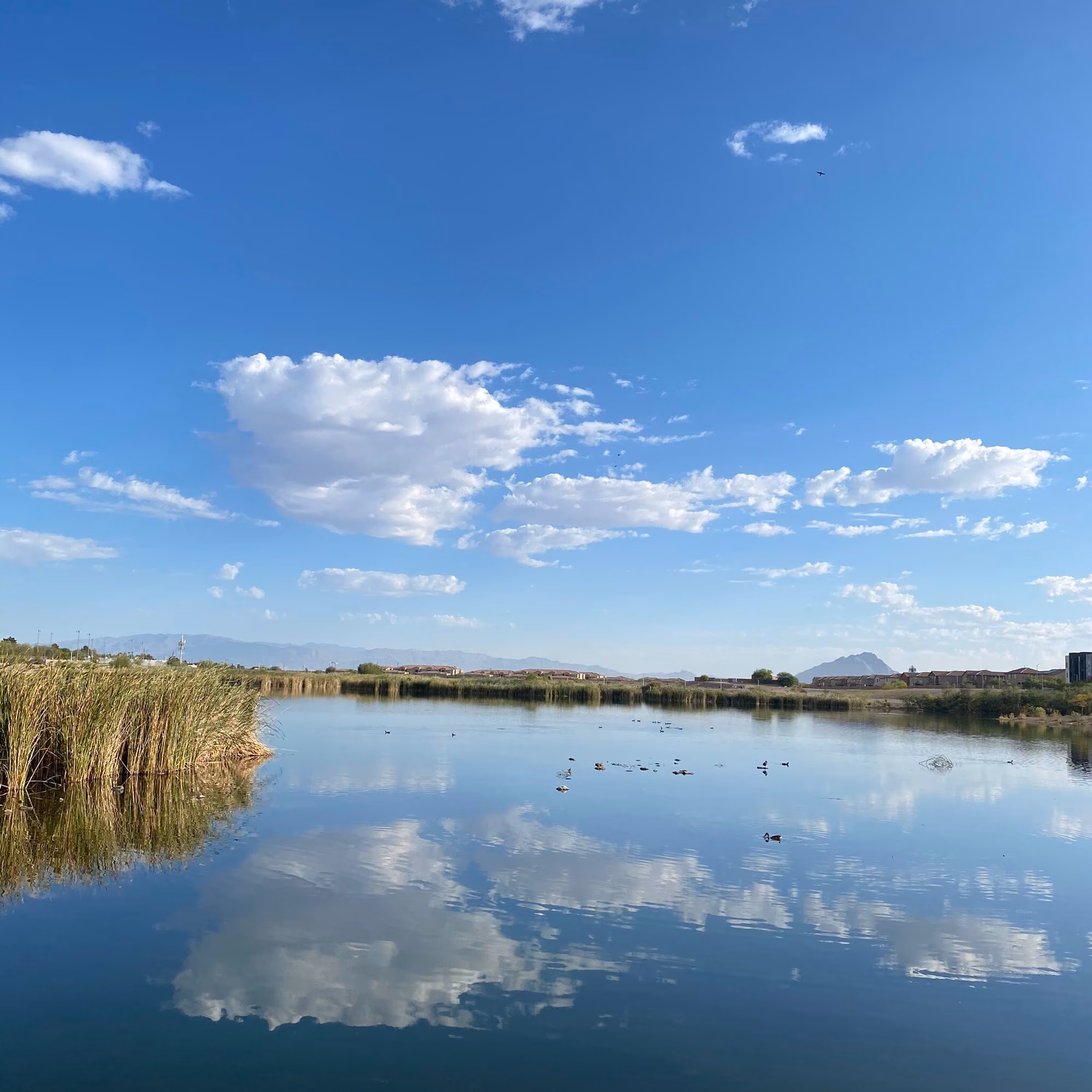 Cornerstone Park in Henderson: Cornerstone Park Pond Reflection
