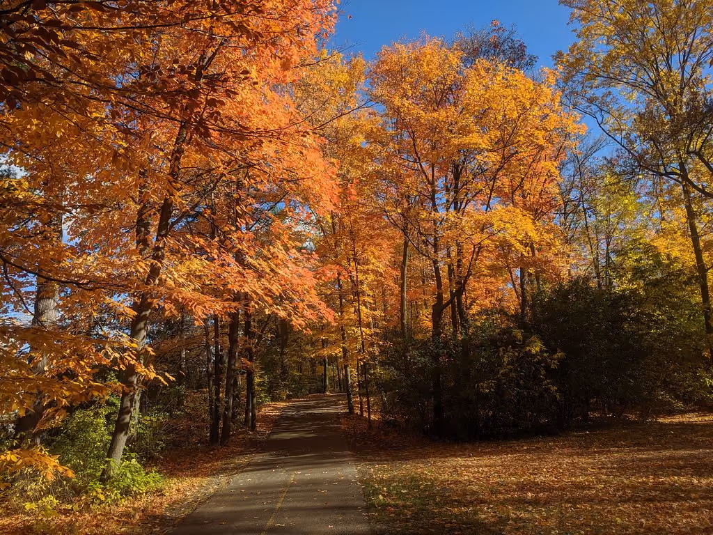 Vincent Massey Park in Ottawa: Fall Foliage Path in Vincent Massey Park