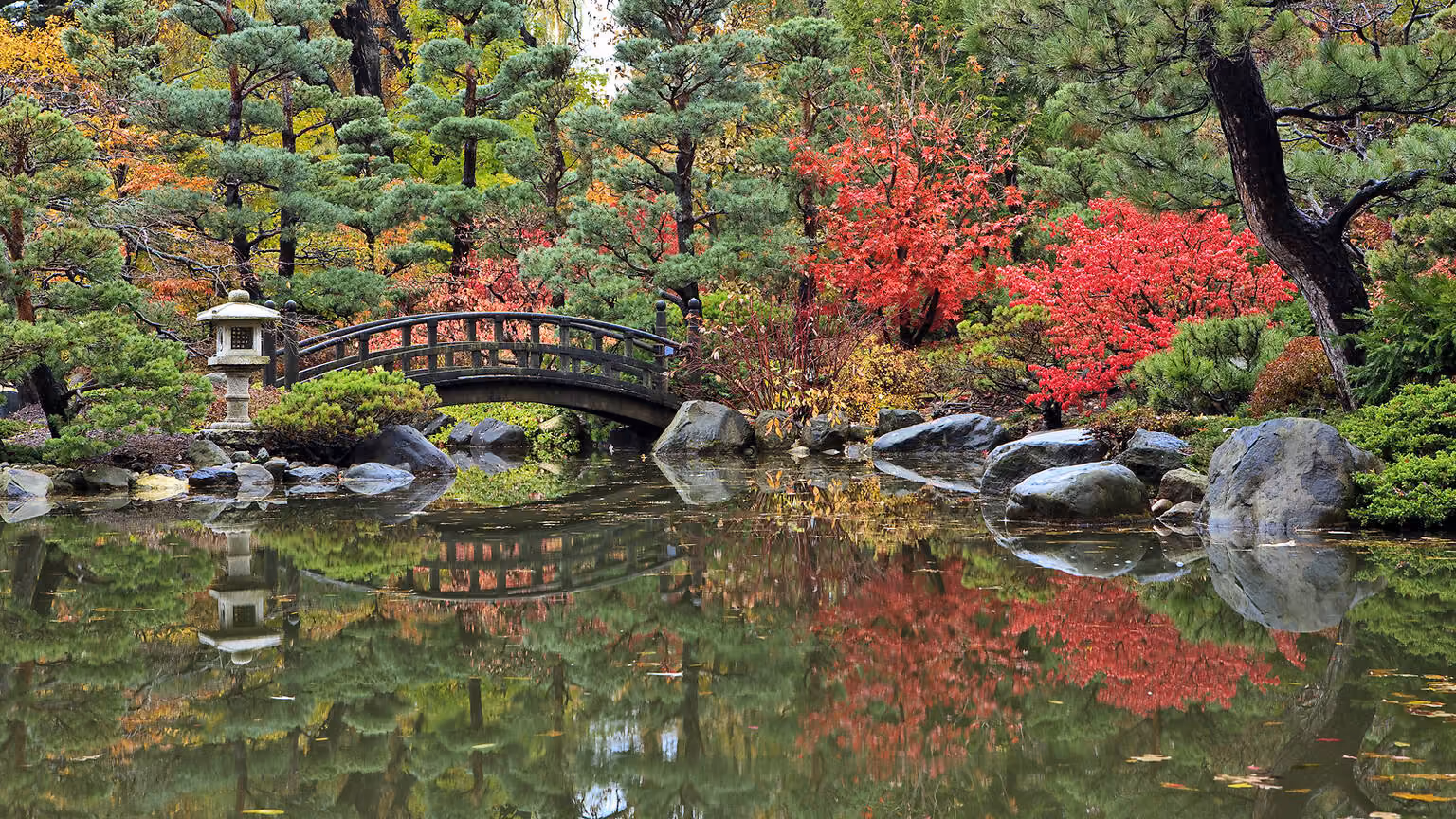 Anderson Japanese Gardens in Rockford: Anderson Japanese Gardens Autumn Scene