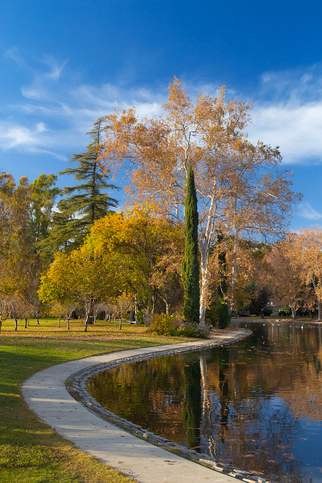 William Land Park in Sacramento: Autumn Walkway at William Land Park
