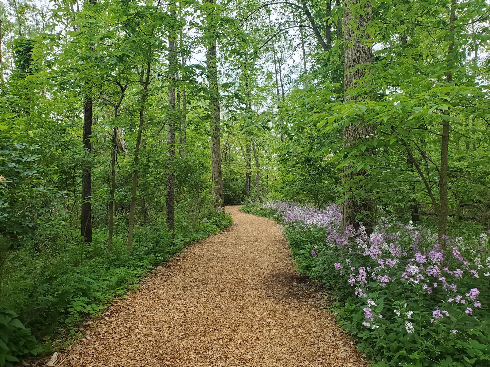 Spring Valley Nature Center in Schaumburg: Spring Valley Nature Center Trail