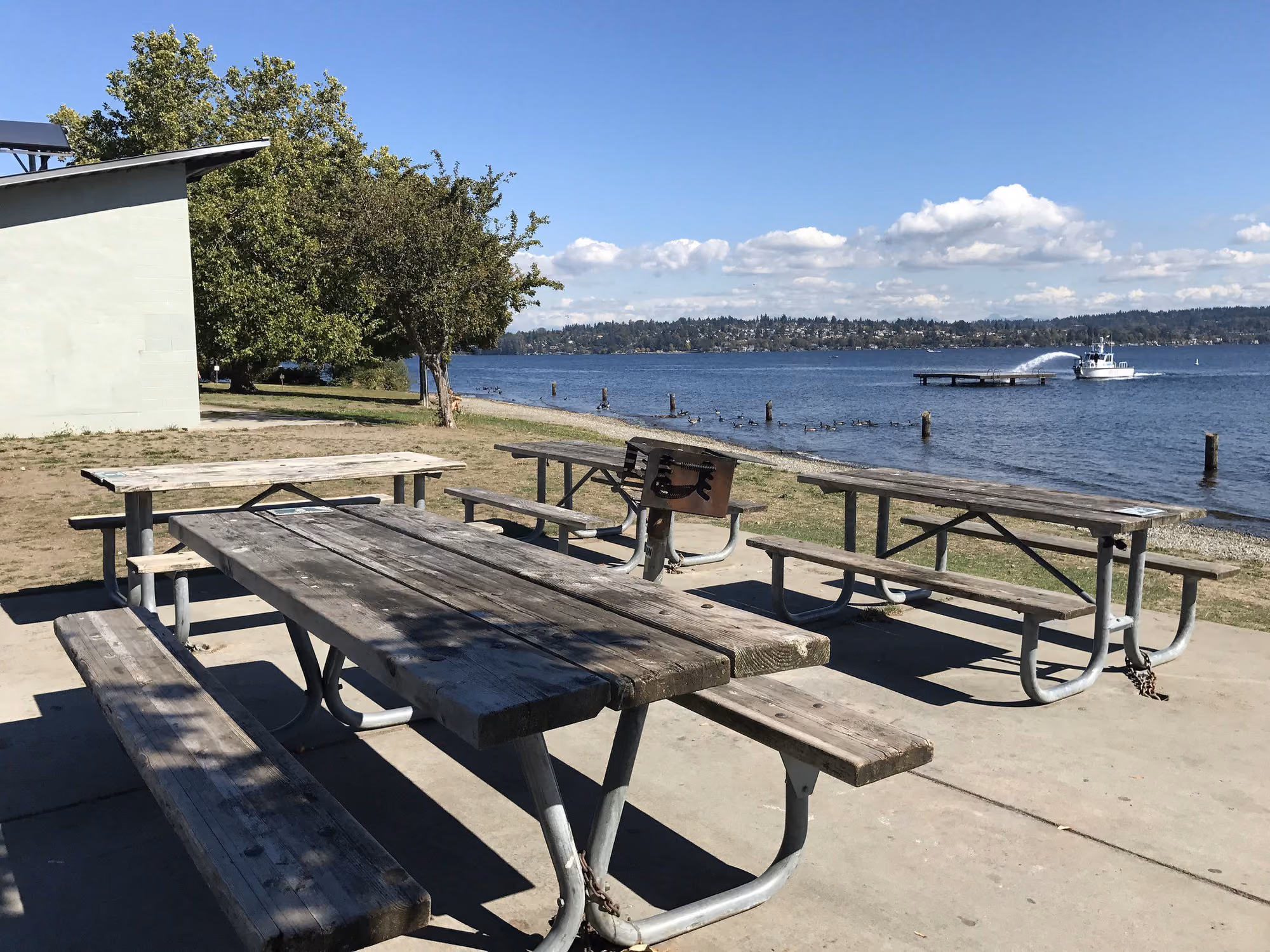 Magnuson Park in Seattle: Lakeside Picnic Area