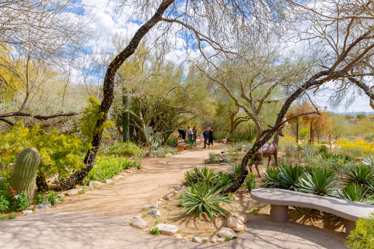 Tohono Chul in Tucson: Tohono Chul Desert Garden Path