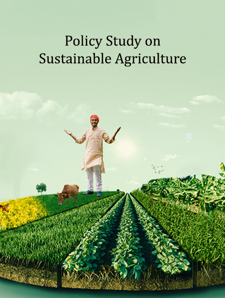 Policy Study on Sustainable Agriculture