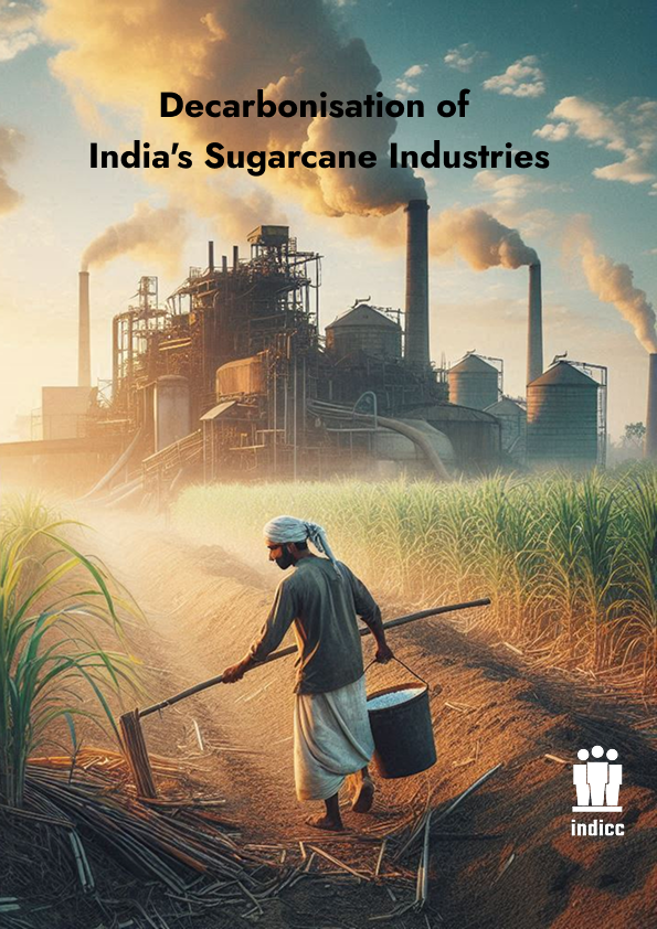 Sustainability of the Sugarcane Value Chain Balancing Energy Efficiency, Decarbonisation and Equitable Value Distribution