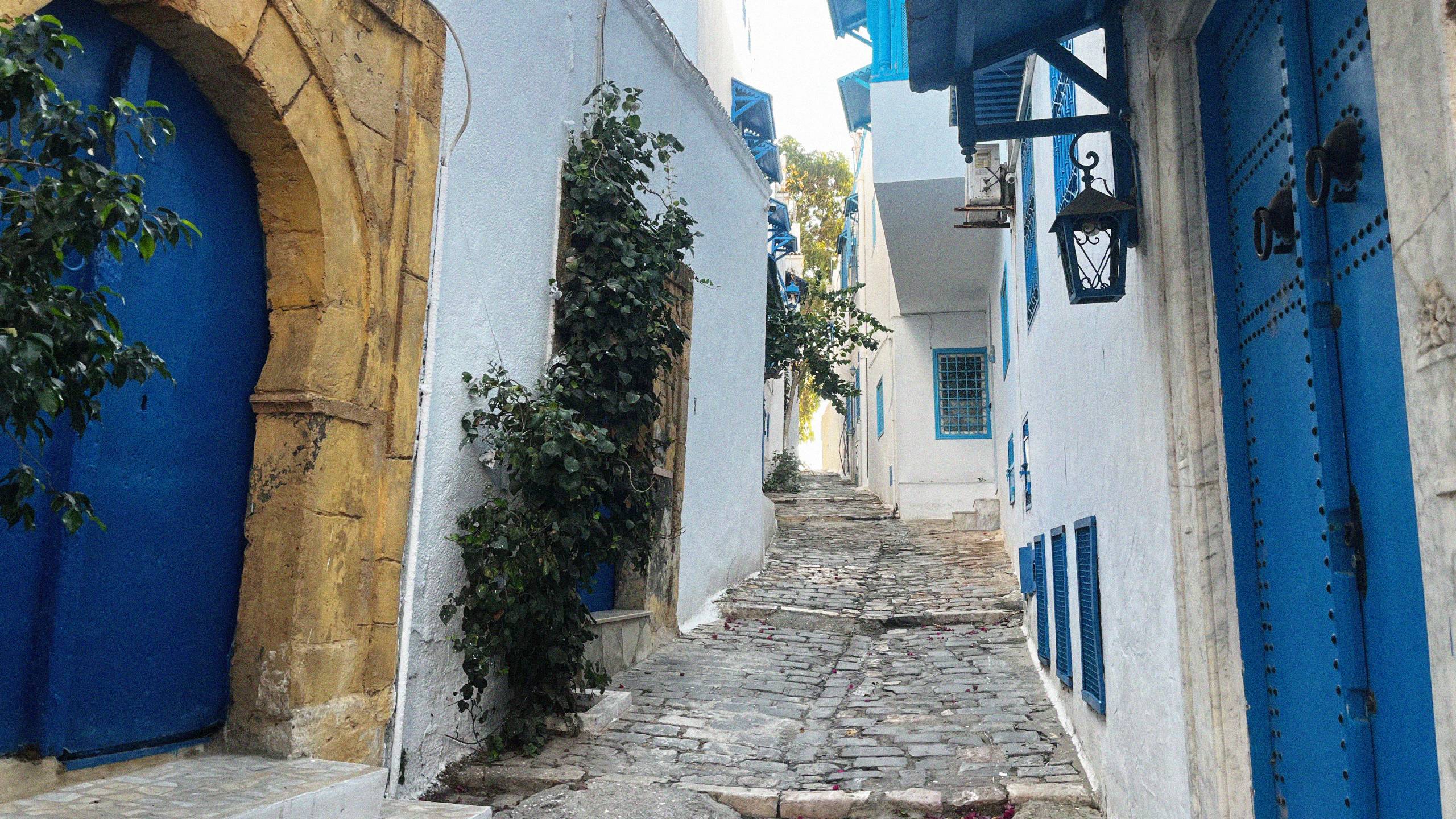 Some streets of Sidi Bou Said are absolutely beautiful and you could momentarily imagine you are in a Greek island. Most of the area features similar uniform blue and white painted houses but it’s in only a relatively small area and this picture-postcard aesthetic is soon lost. 