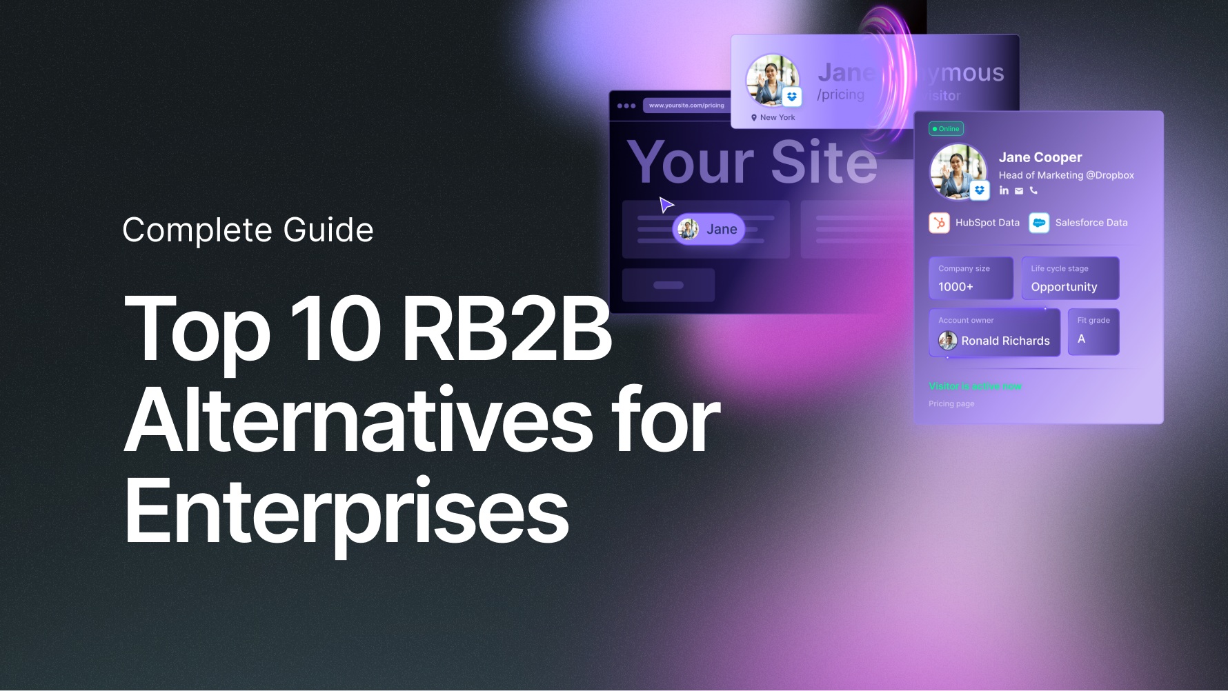 Top 10 RB2B Alternatives for Enterprises In 2025