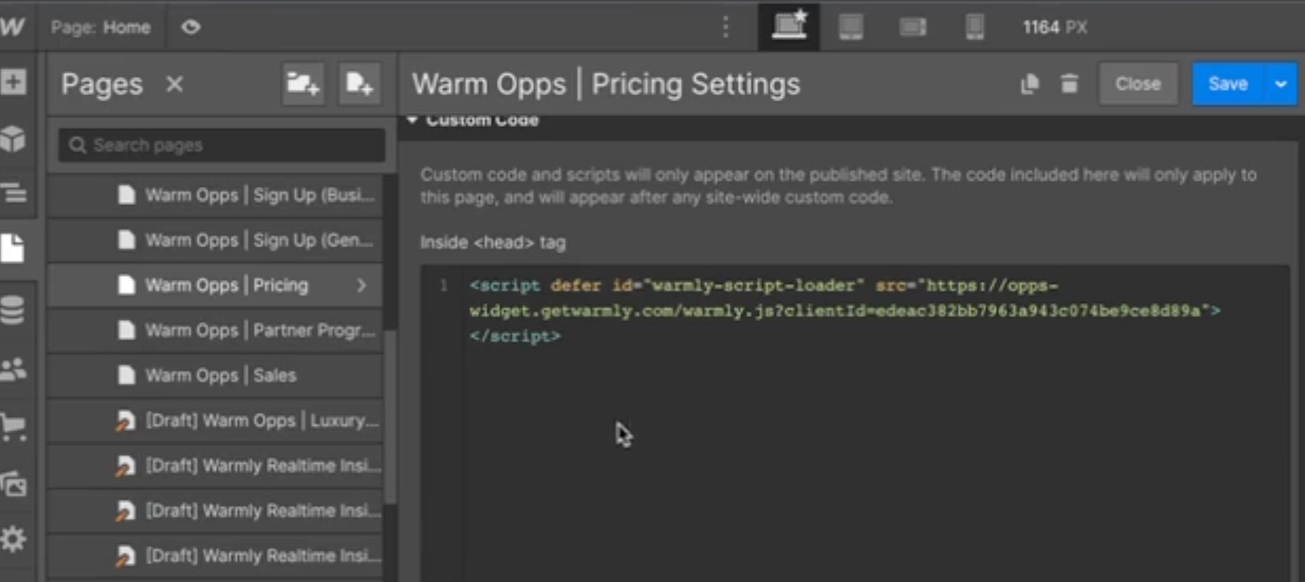 Script tag on Webflow Page