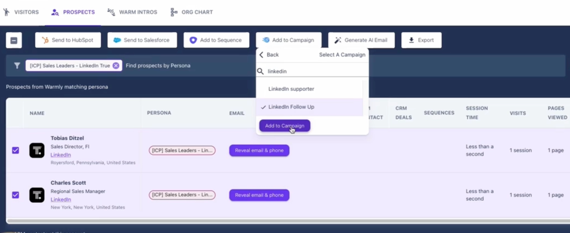 Salesflow Warmly Integration