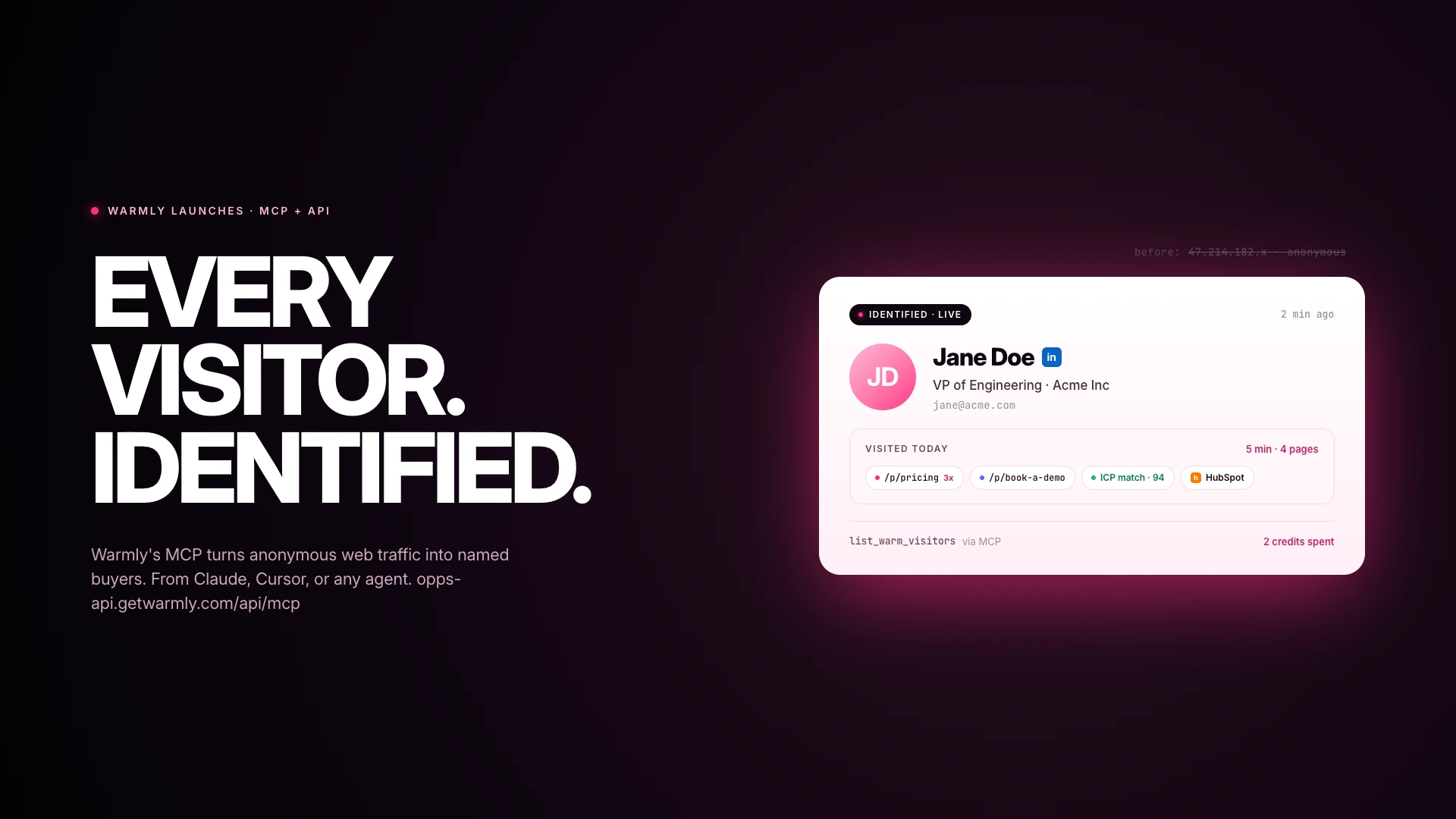Warmly MCP and API launch — every visitor identified. From anonymous IP to named buyer with full enrichment via Warmly's MCP