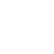 star-icon