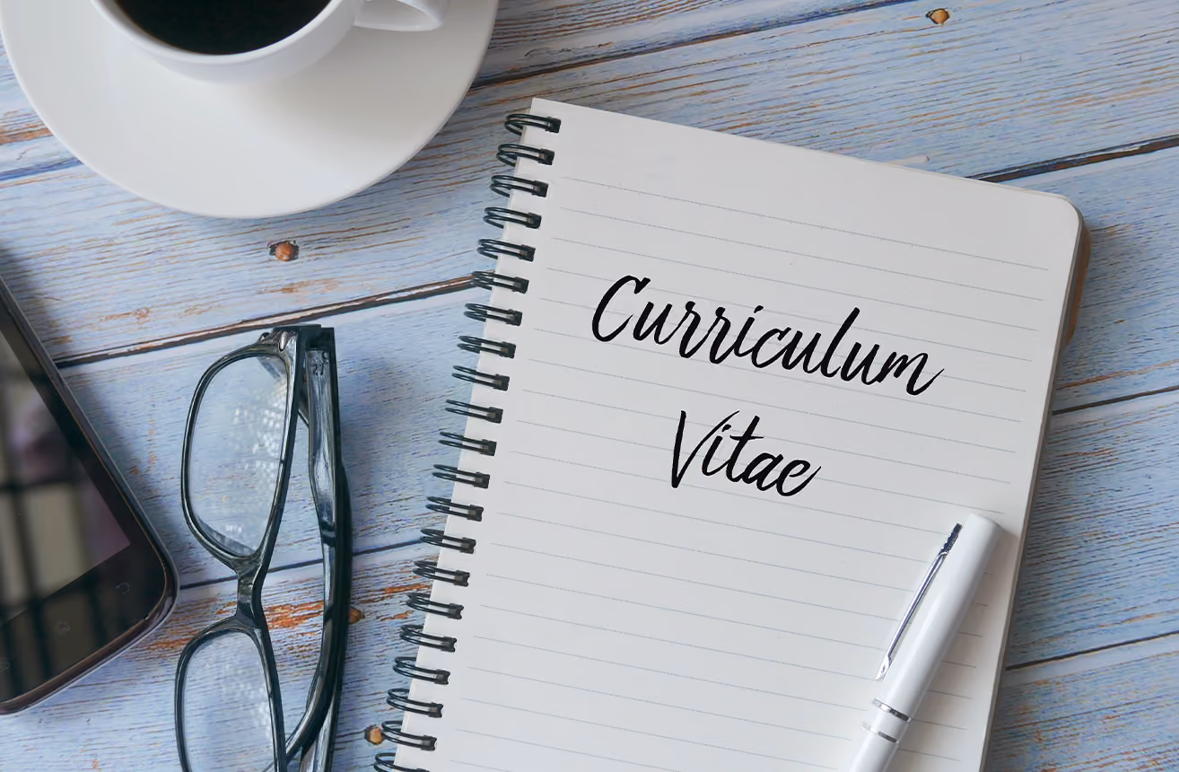 candidat CV Curriculum Vitae vierge sans experiences