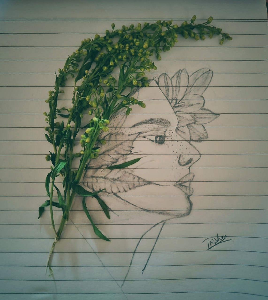 Art Meets Nature