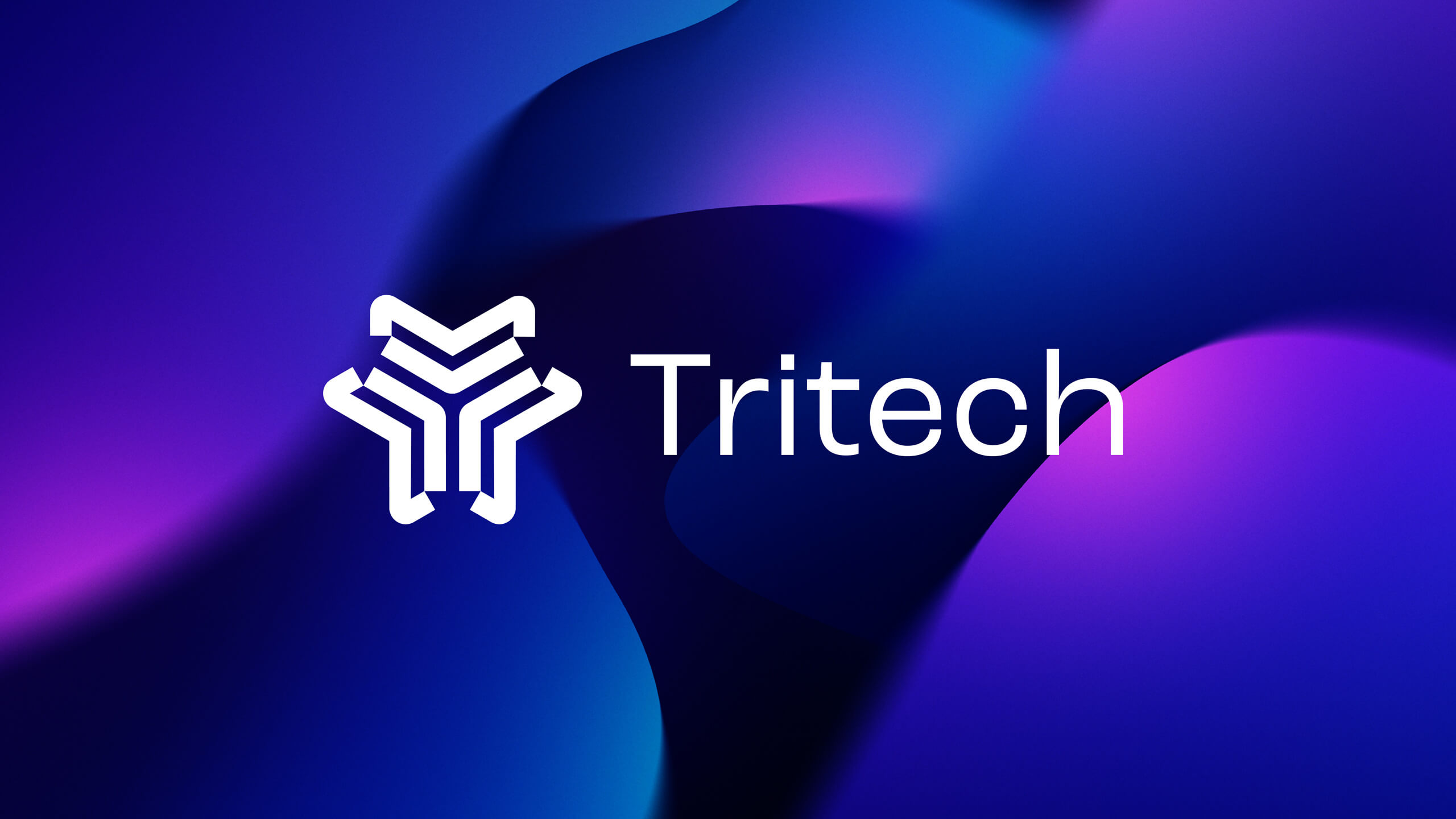 tritech-merkidentiteit-presentatie-logo-dnns.jpg