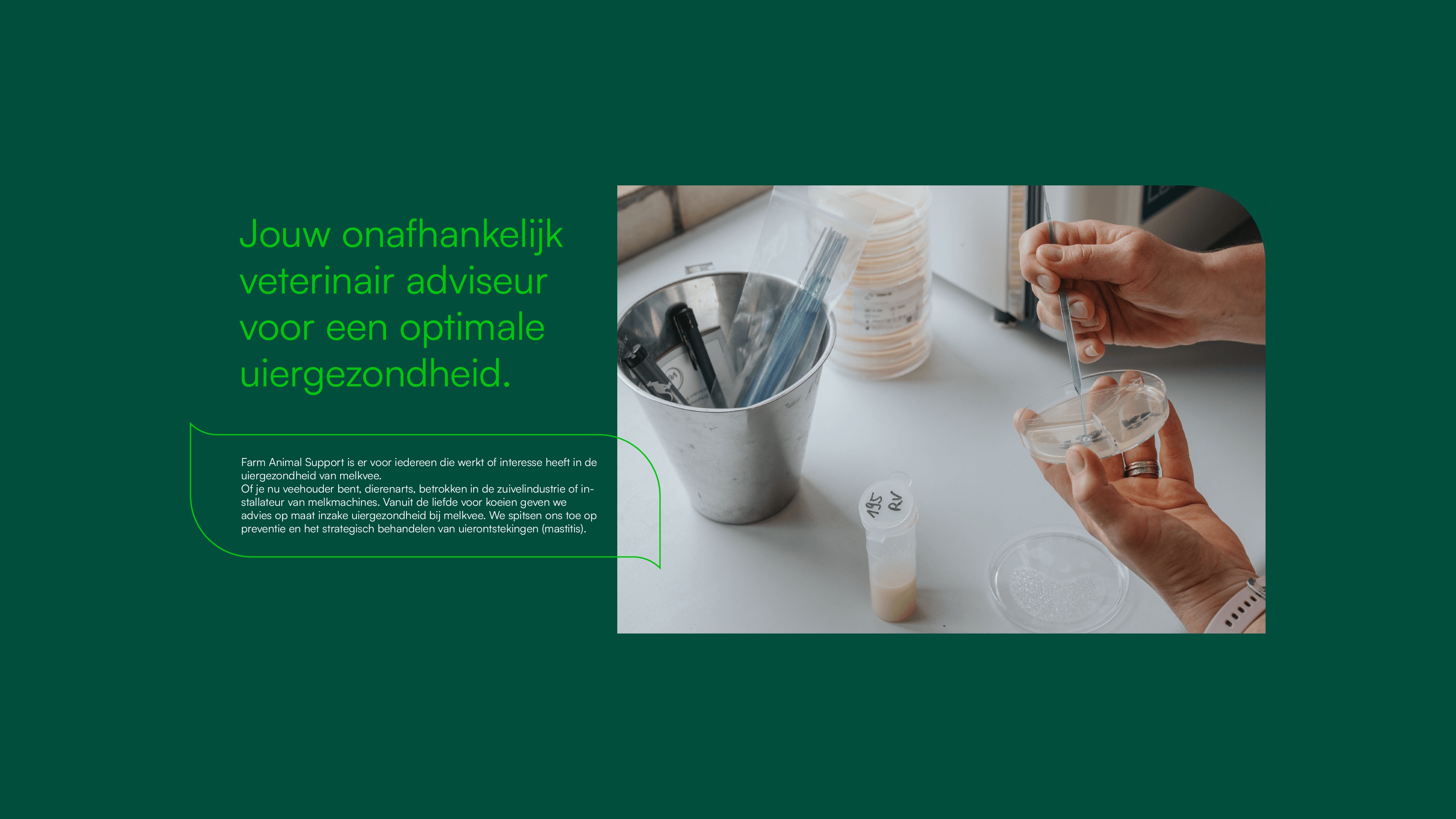 fas-brand-presentatie-totaalbeeld-melkveehouderij.png