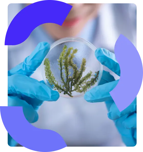 Cabinet de recrutement en chimie