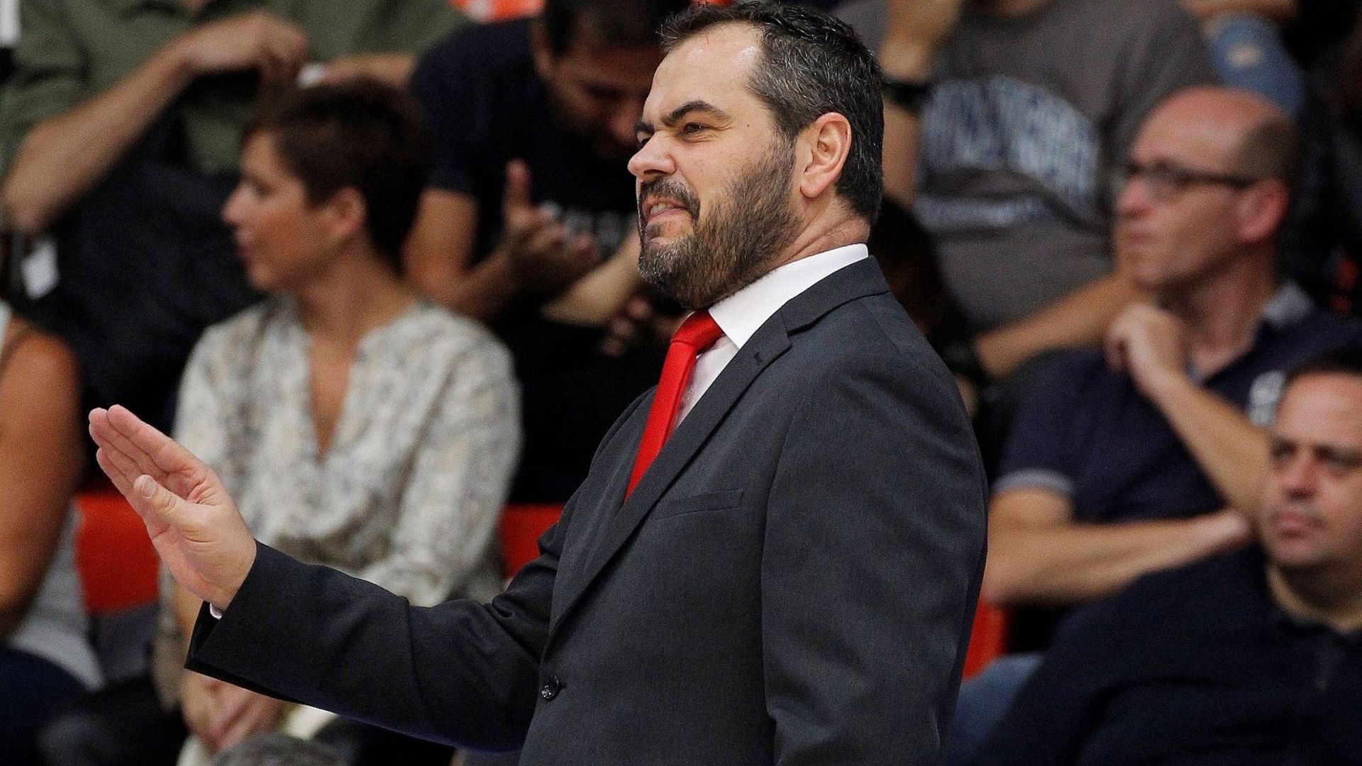 Egypt Appoints Agustí Julbeas Head Coach After AfroBasket 2025 Failure, Aiming For FIBA 2026 World Cup Qualification