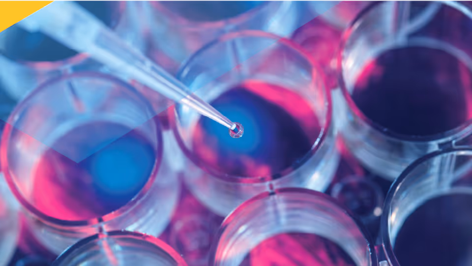 Close-up of a pipette depositing a droplet into a well plate with blue and pink liquid under laboratory lighting.