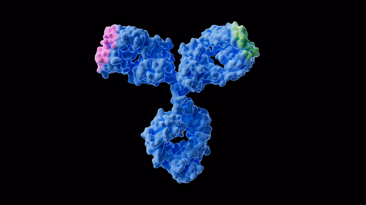 3D molecular model of an antibody protein with blue structure and pink and green highlighted regions on a black background.