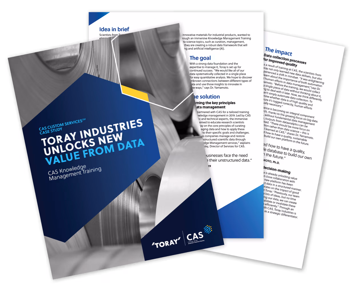 Cover of CAS Custom Services case study with Toray Industries.
