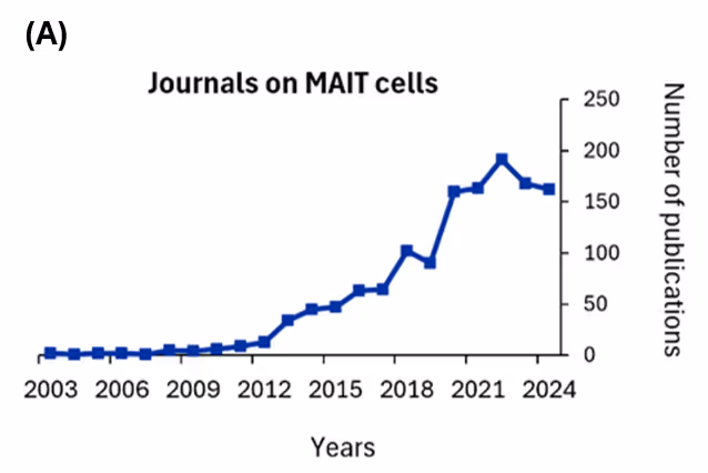 Publications on MAIT cells and related research over the last two decades