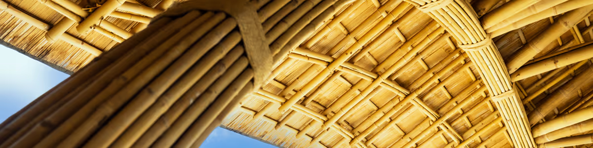 Recursos sostenibles: construcción con bambú, material de construcción respetuoso con el clima 